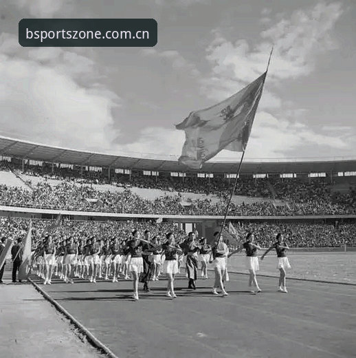 BSports中国攻略 揭秘BSports中国攻略:体育娱乐背后的趋势与真相